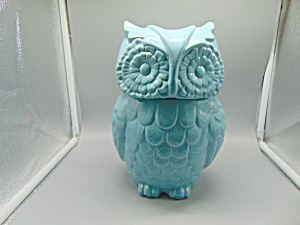 World Market Owl Ceramic Cookie Jar.