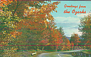 Autumn Folliage Along Highway Scene Ozarks P41260